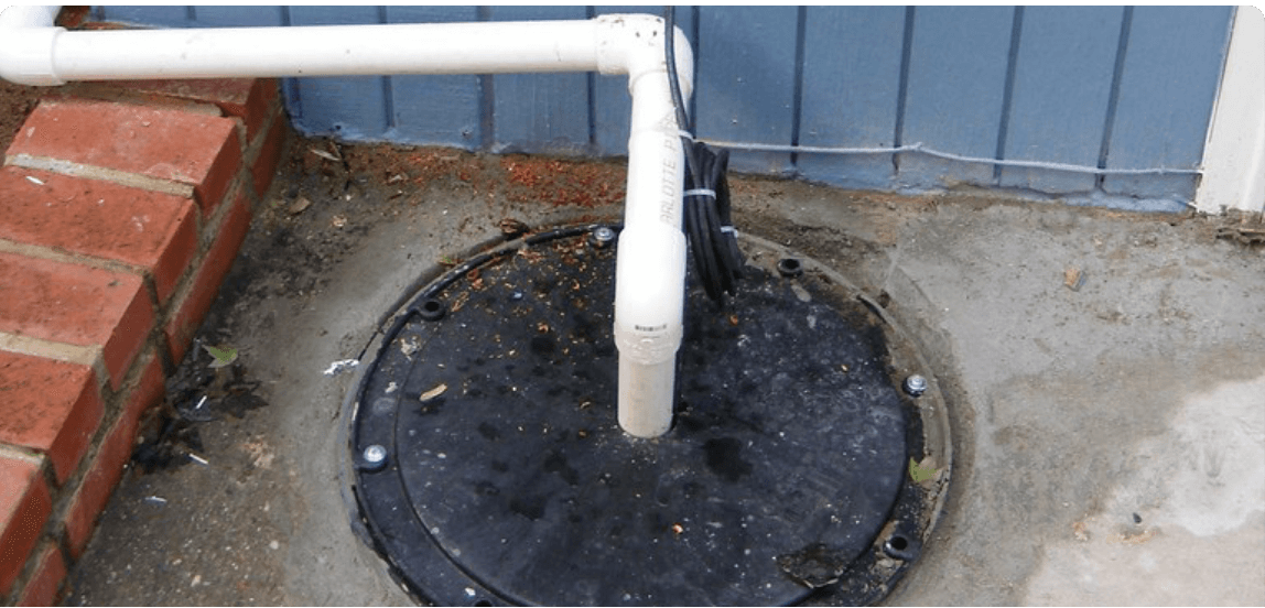 Tree removal around sump pump